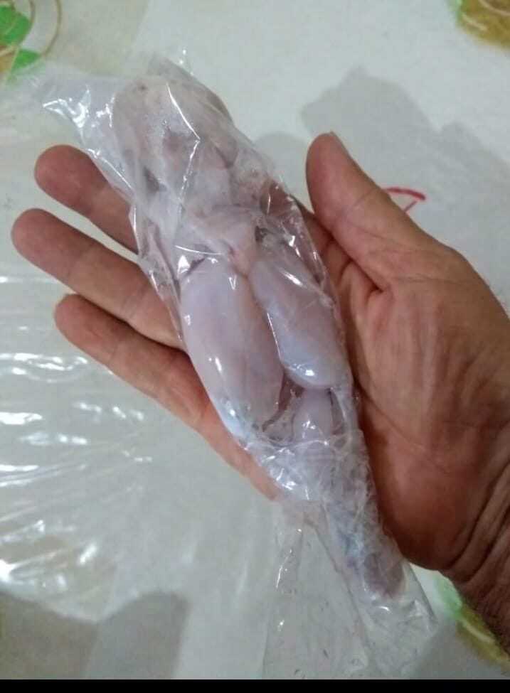Carcaça de rã com 70 gramas