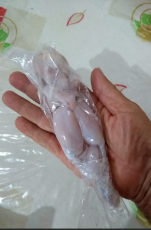 Carne de Rã Ranashaw